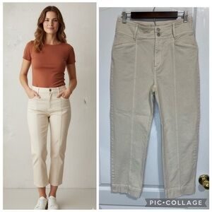 Ann Taylor The Straight Curvy Fit Care Jeans jeans size 8